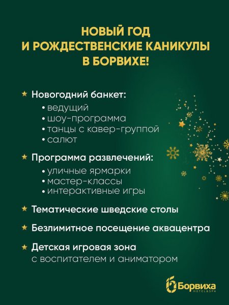 Новый год в отеле Борвиха